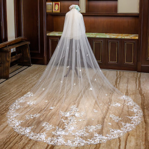 Gorgeous Cathedral Veils Lace Trims Long Veils for Brides Wedding Veils Bridal Veils with Lace Appliques