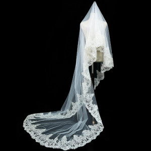bv2271627 sequins lace trim bridal veil