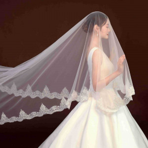 bv2272836 Lace Trim  Bridal Veils